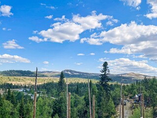 Ferienhaus Nesbyen Außenaufnahme 11