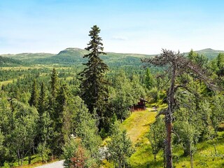 Ferienhaus Nesbyen  19
