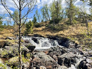Ferienhaus Nesbyen  39