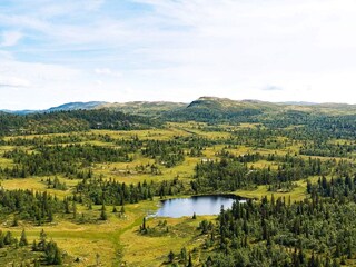 Vakantiehuis Nesbyen  30