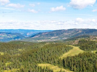 Vakantiehuis Nesbyen  33