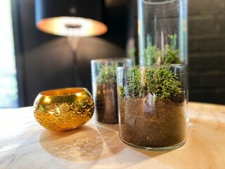 Maison de vacances Rheezerveen  20