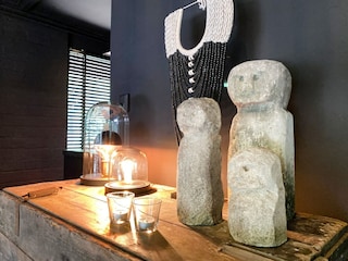 Vakantiehuis Rheezerveen Kenmerken 5