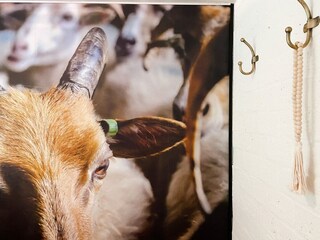 Maison de vacances Rheezerveen  19