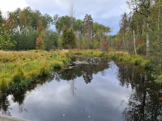 Casa per le vacanze Rejmyre  13