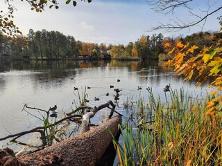 Ferienhaus Rejmyre  25