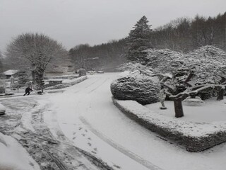 Appartamento Pracht Ambiente 21