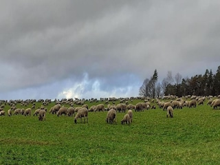 Apartment Pracht Umgebung 27