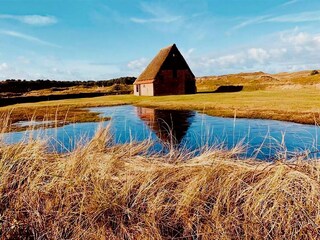 Maison de vacances De Koog Environnement 27
