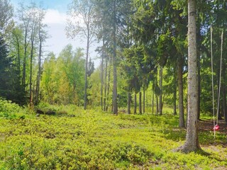 Holiday house Grisslehamn  21