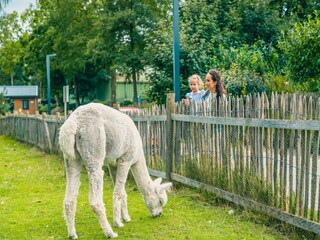 Ferienpark Doornspijk  37