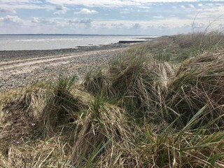 Maison de vacances Louns  25