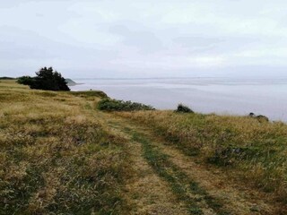 Maison de vacances Louns  19