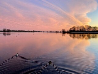 Maison de vacances Velddriel Environnement 28