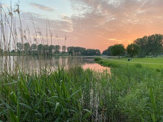 Vakantiehuis Velddriel Omgeving 27