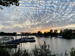 Vakantiehuis Velddriel Omgeving 28