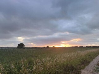 Vakantiehuis Vesløs  24