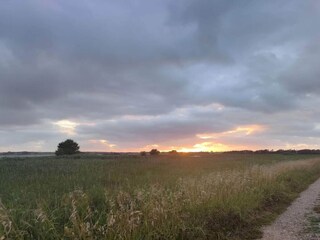 Ferienhaus Vesløs  16