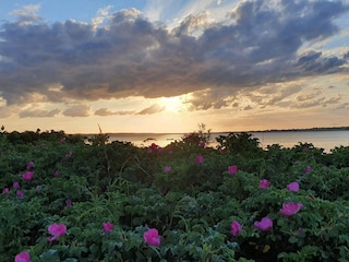 Vakantiehuis Tuse Næs  30