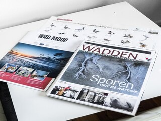 Holiday house Moddergat  34