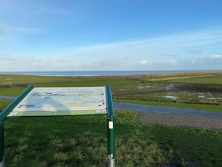 Maison de vacances Moddergat Environnement 29