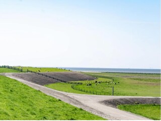 Ferienhaus Moddergat Umgebung 29