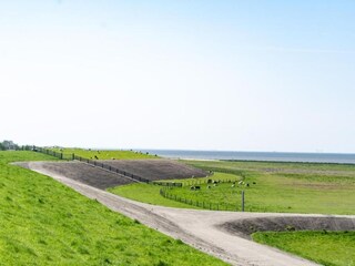 Ferienhaus Moddergat Umgebung 31