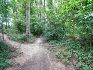 Vakantiehuis Moddergat Omgeving 30