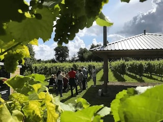Vakantiehuis Twijzelerheide Omgeving 38