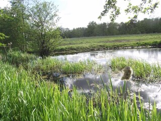 Casa per le vacanze Twijzelerheide Ambiente 38