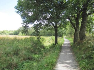 Casa de vacaciones Twijzelerheide Entorno 40