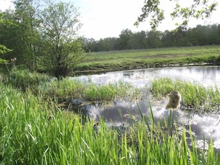 Ferienhaus Twijzelerheide Umgebung 39