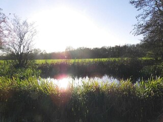 Vakantiehuis Twijzelerheide Omgeving 29