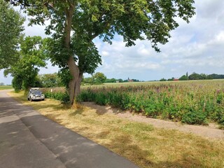 Vakantiehuis Næsby Strand (Lolland)  20