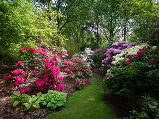 Vakantiehuis Næsby Strand (Lolland)  30