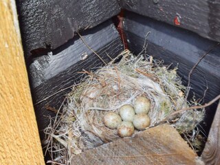 Vakantiehuis Welt  24