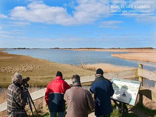 Casa per le vacanze Twijzelerheide Ambiente 28