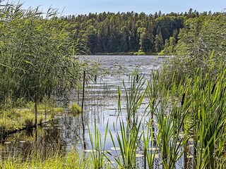 Maison de vacances Zinkgruvan  19