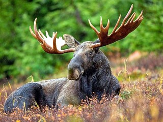 Holiday house Zinkgruvan  30