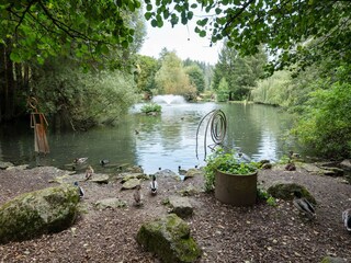 Appartement Dauchingen Environnement 36