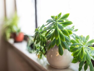 Appartamento Dauchingen  41