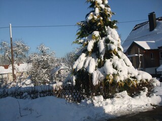 Apartment Dauchingen Außenaufnahme 1