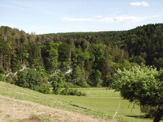Apartamento Dauchingen Entorno 39