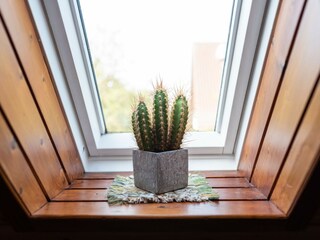 Appartement Dauchingen  45