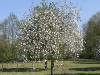 Vakantiepark Stramproy Omgeving 13