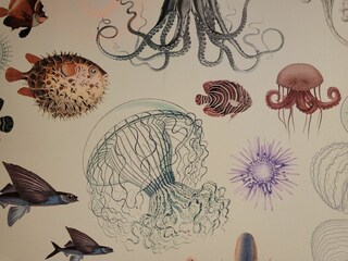 Appartamento per vacanze St. Peter-Ording Registrazione all'aperto 12