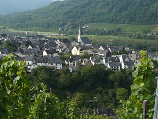 Enkirch aus den Weinbergegn