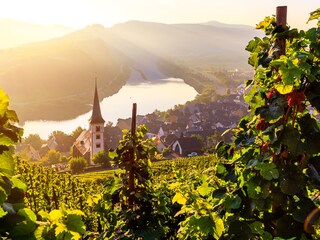 Sonnenuntergang im Moseltal