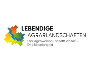 Ferienwohnung Enkirch Dokument 12