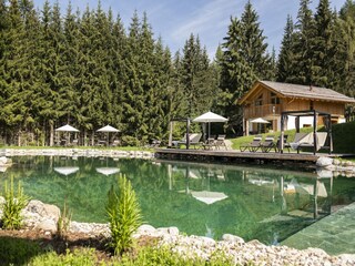 Chalet Tamsweg  30